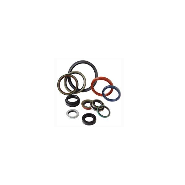 1843 Gasket set for MINI-VAC Manifold Product # 1833