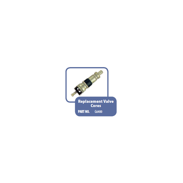 G6400  Schroeder Valve Core Replacement